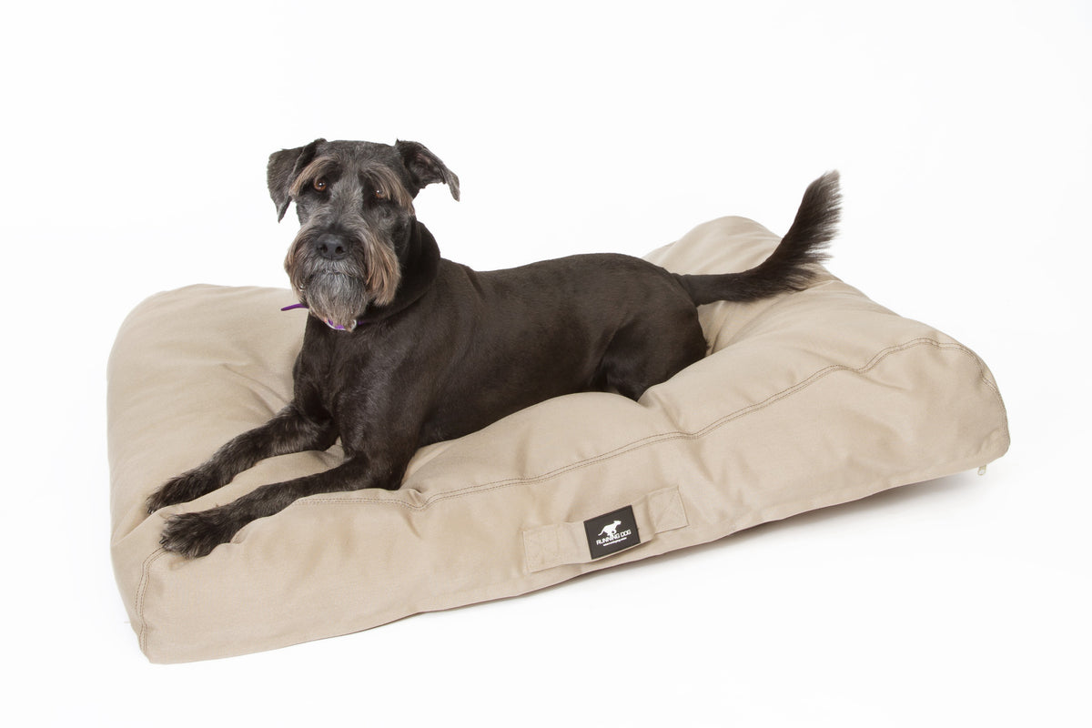 Durable and Comfortable Online Luxury Dog Beds Running Dog Running