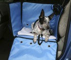 Single seat cover for dogs with zip up sides