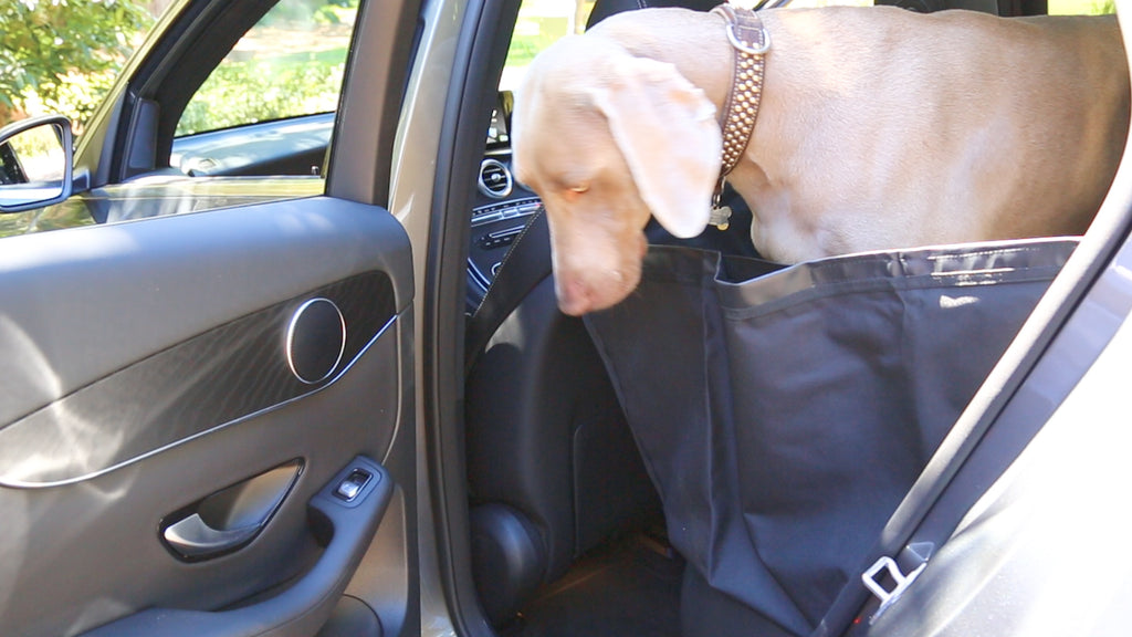 Running Dog Seat cover improves control