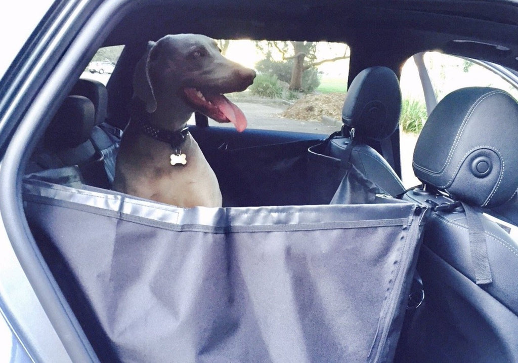 Seat Cover for dogs