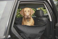 Running Dog Car seat cover for dogs